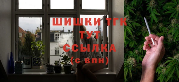 спайс Арсеньев
