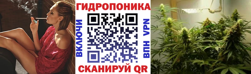 Конопля тримм  Чадан 